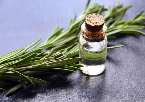 تصویر 5 از قیمت خرید عصاره روغن رزماری با فروش عمده